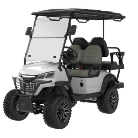 Carro Golf (4p) LQD021+2 (GEL)